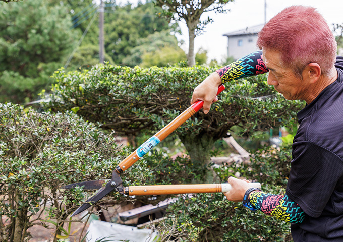 植木剪定