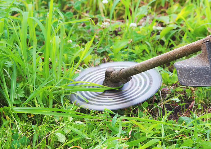草刈り・芝刈り・草むしり