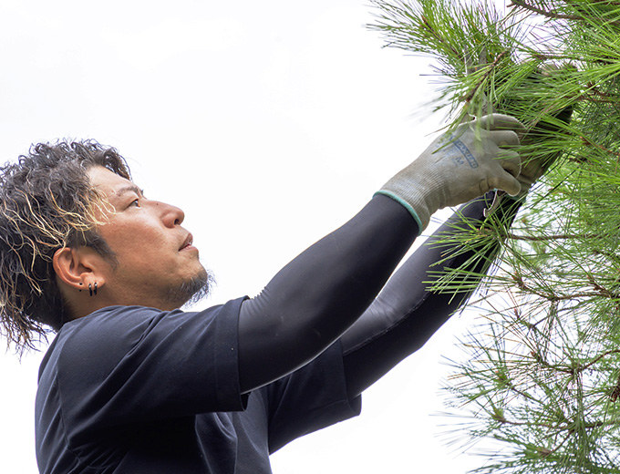 料金・庭の手入れについて